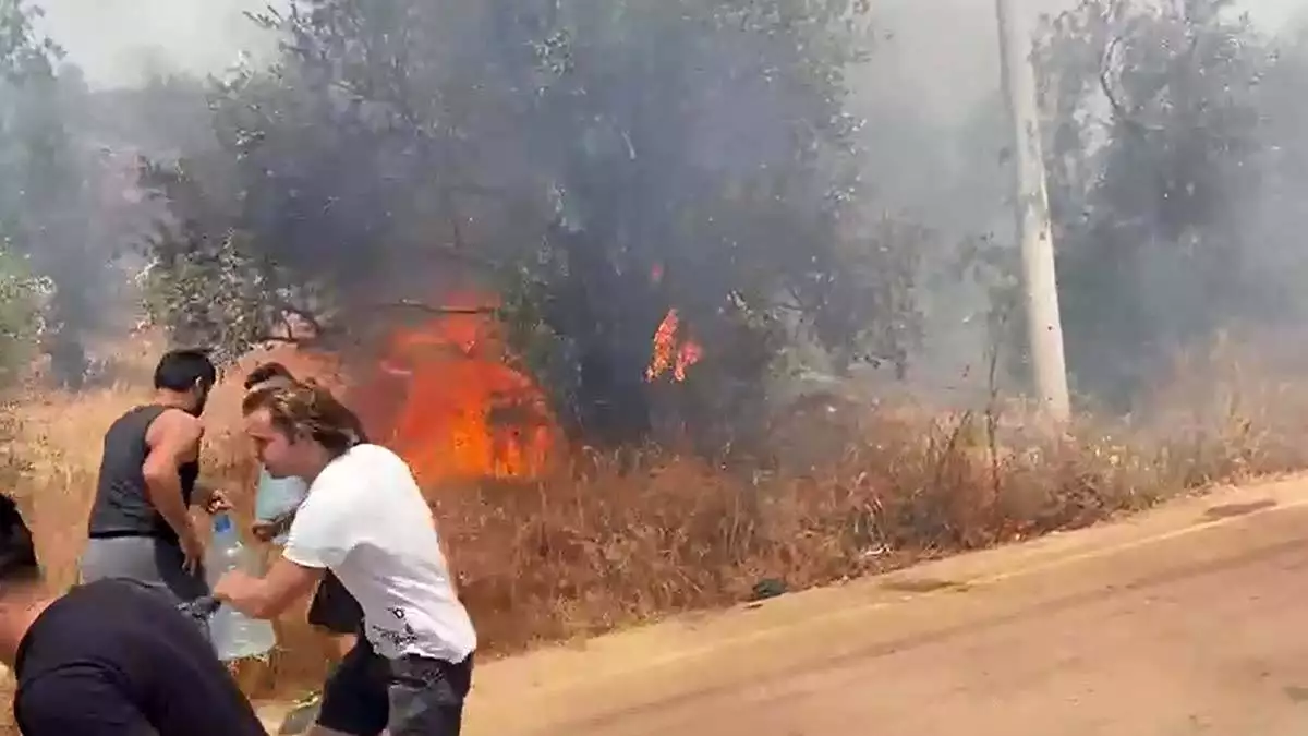 Kaş'taki yangında 3 hektar zeytinlik yandı