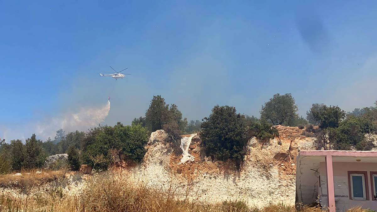 Kaş'taki yangında 3 hektar zeytinlik yandı