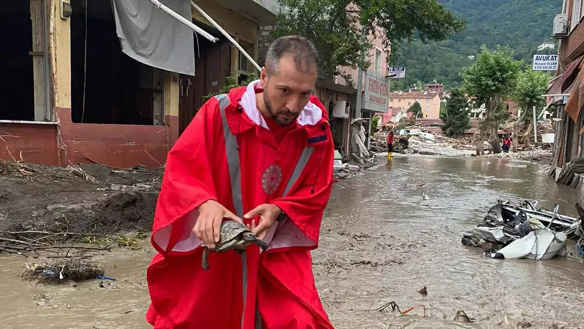 Kastamonuda sel felaketinde can kaybi 25e yukseldi 2 - öne çıkan - haberton