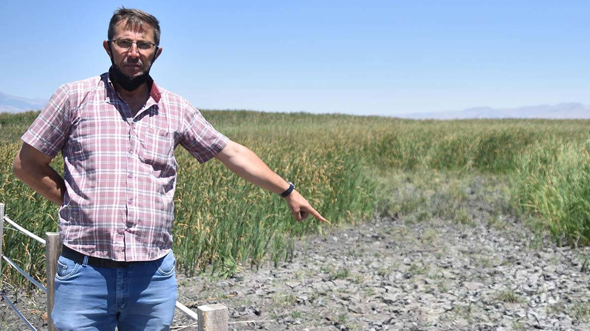 Kayseri'de kuraklık Yay Gölü'nü kuruttu