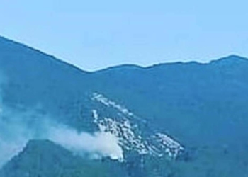 Kazdağları'nda orman yangını çıktı