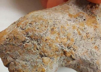 Kazıda bulunan figürde 9 bin yıllık parmak izi