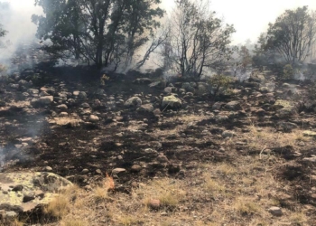 Konya'da makilik alanda yangın çıktı
