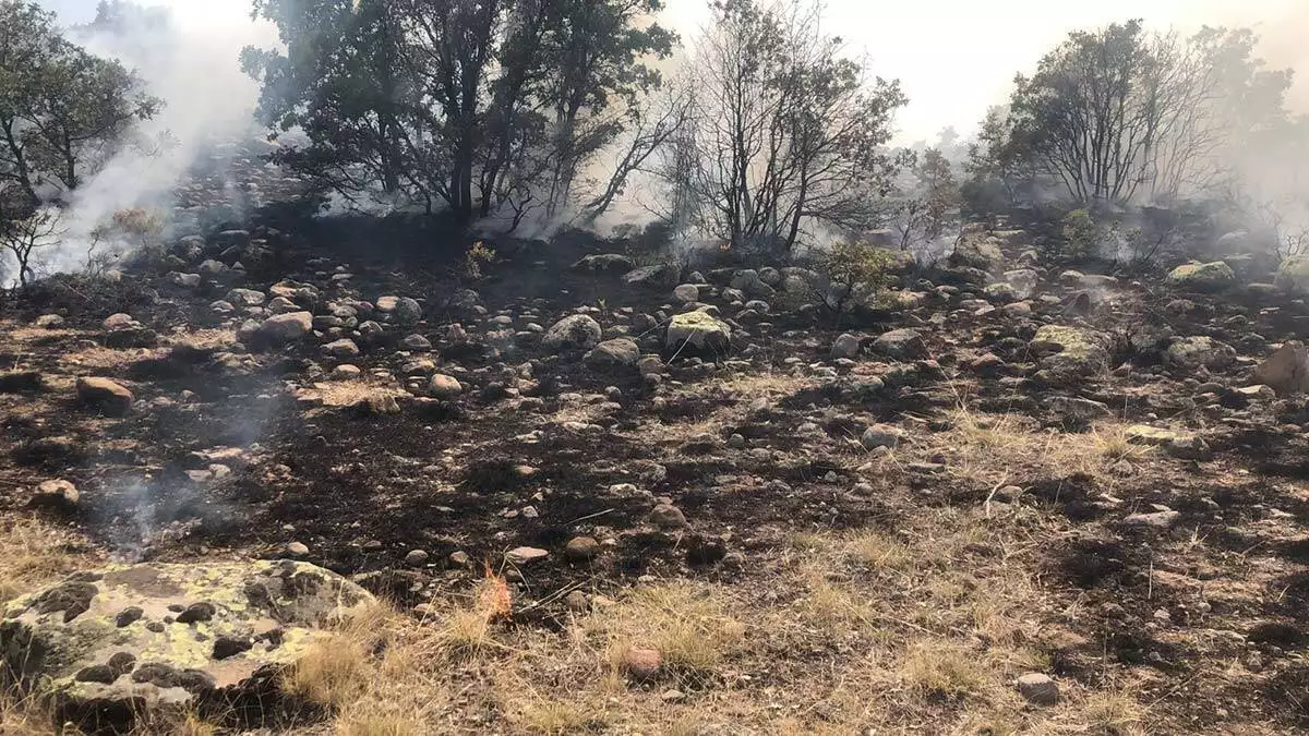 Konya'da makilik alanda yangın çıktı