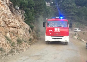 Köyceğiz yangınında 14'üncü gün