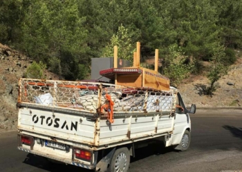 Köyceğiz'de 15 bin hektar alan yandı