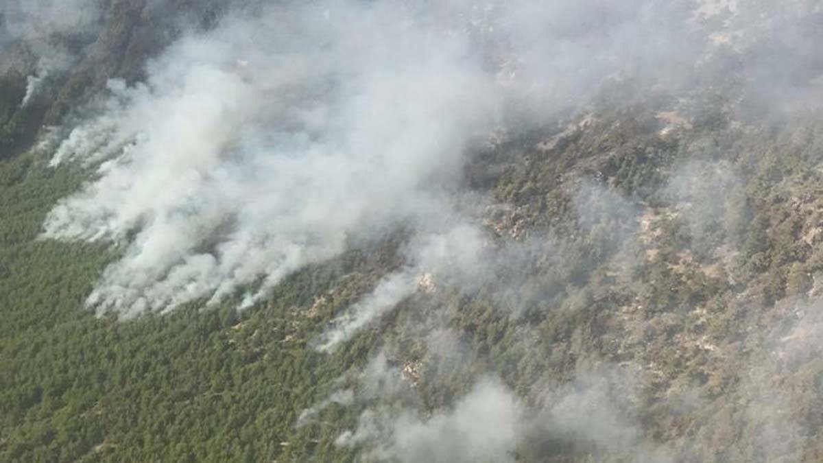 Köyceğiz'deki yangında 7'nci gün