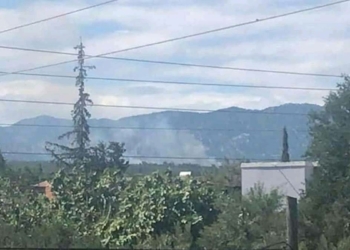 Kozan'da orman yangını çıktı