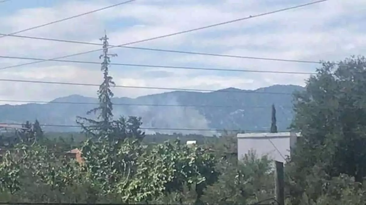 Kozan'da orman yangını çıktı