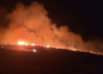 Kula'da makilik alanda yangın