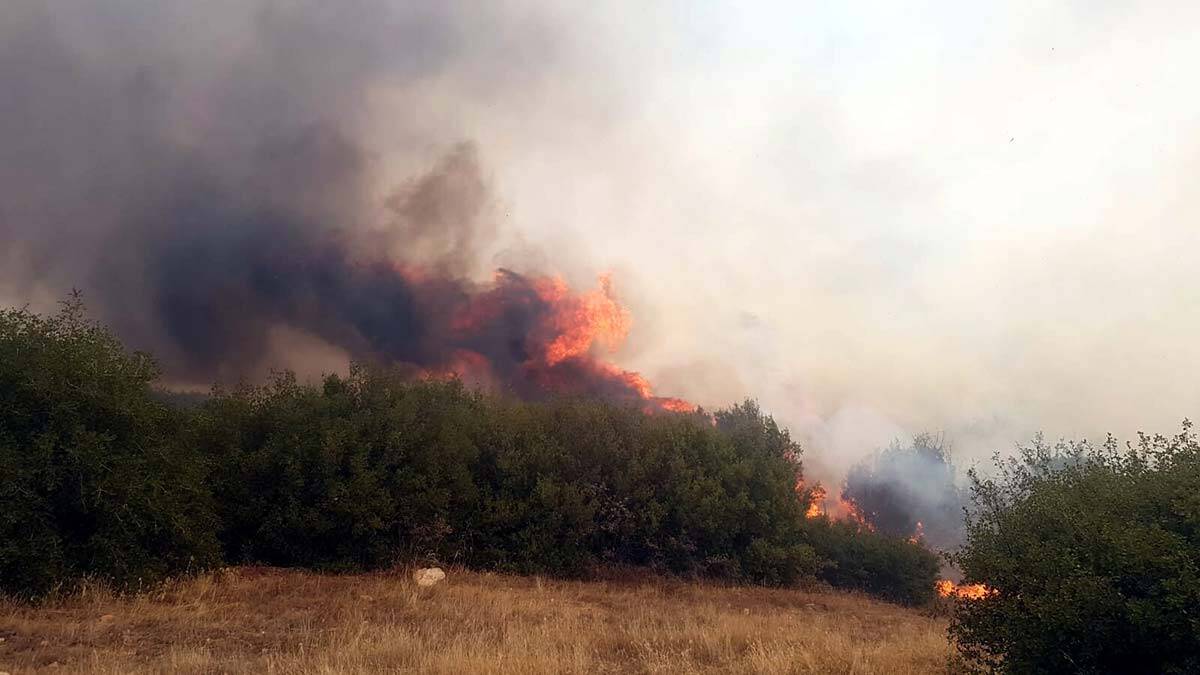 Kula'daki yangın ormana sıçradı