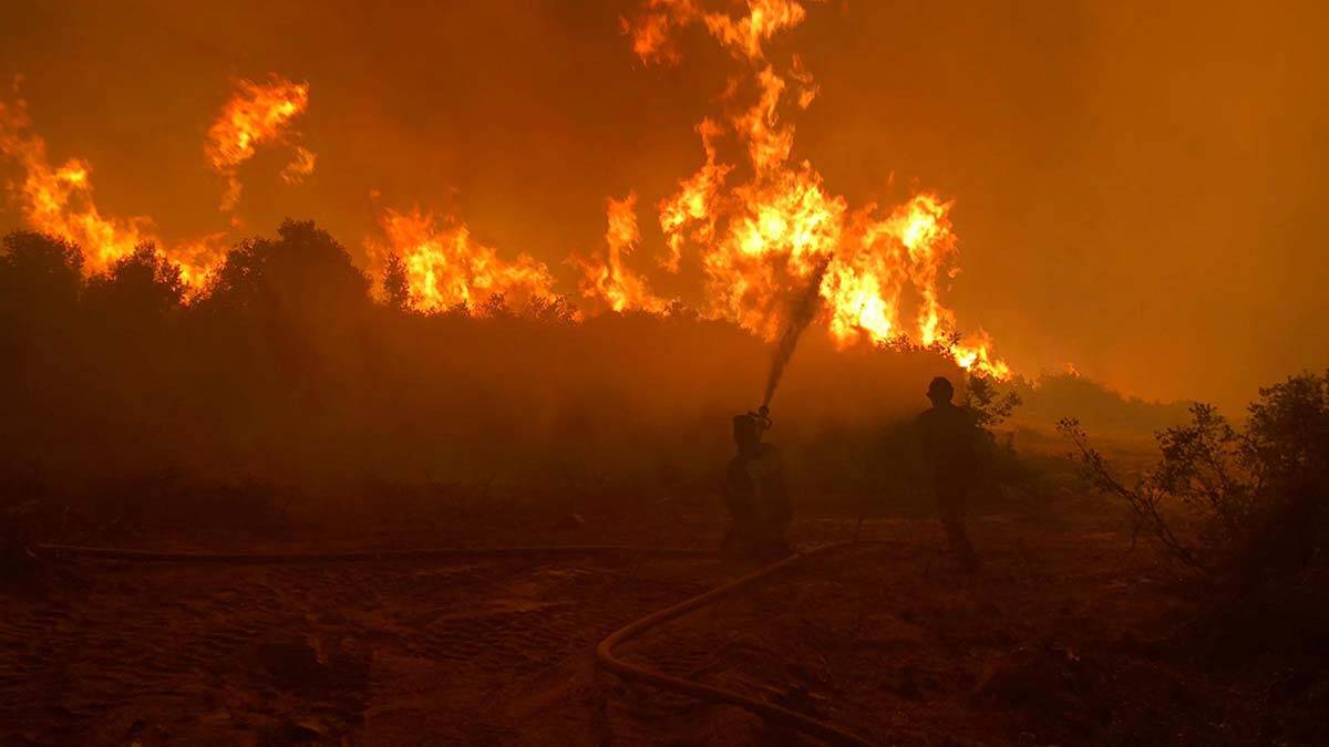 Kula'daki yangında 5 hektar zarar gördü