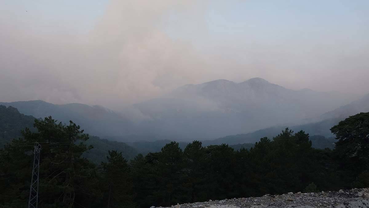 MGK: Yangınların güvenlik boyutu değerlendirildi