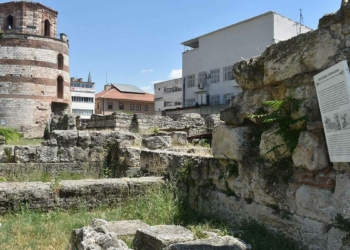 Makedon Kulesi’nde incir ağacı çıktı