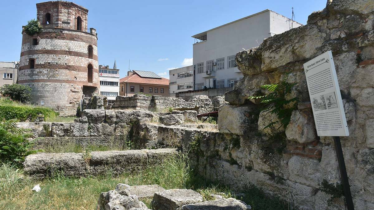 Makedon Kulesi’nde incir ağacı çıktı