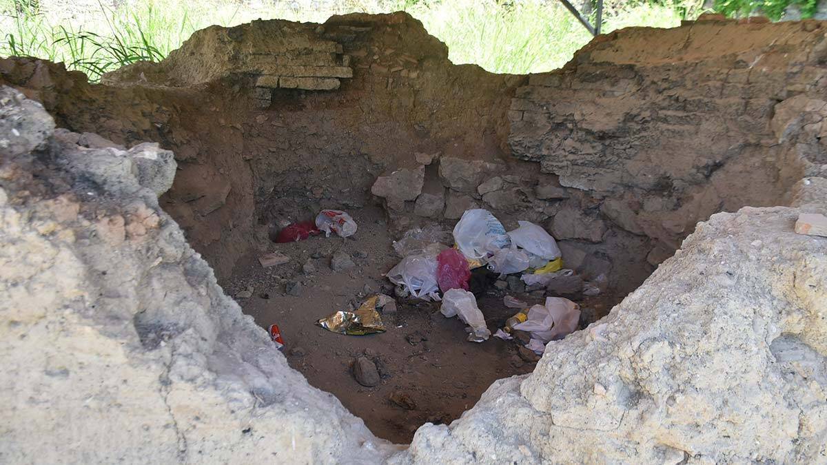 Makedon Kulesi’nde incir ağacı çıktı