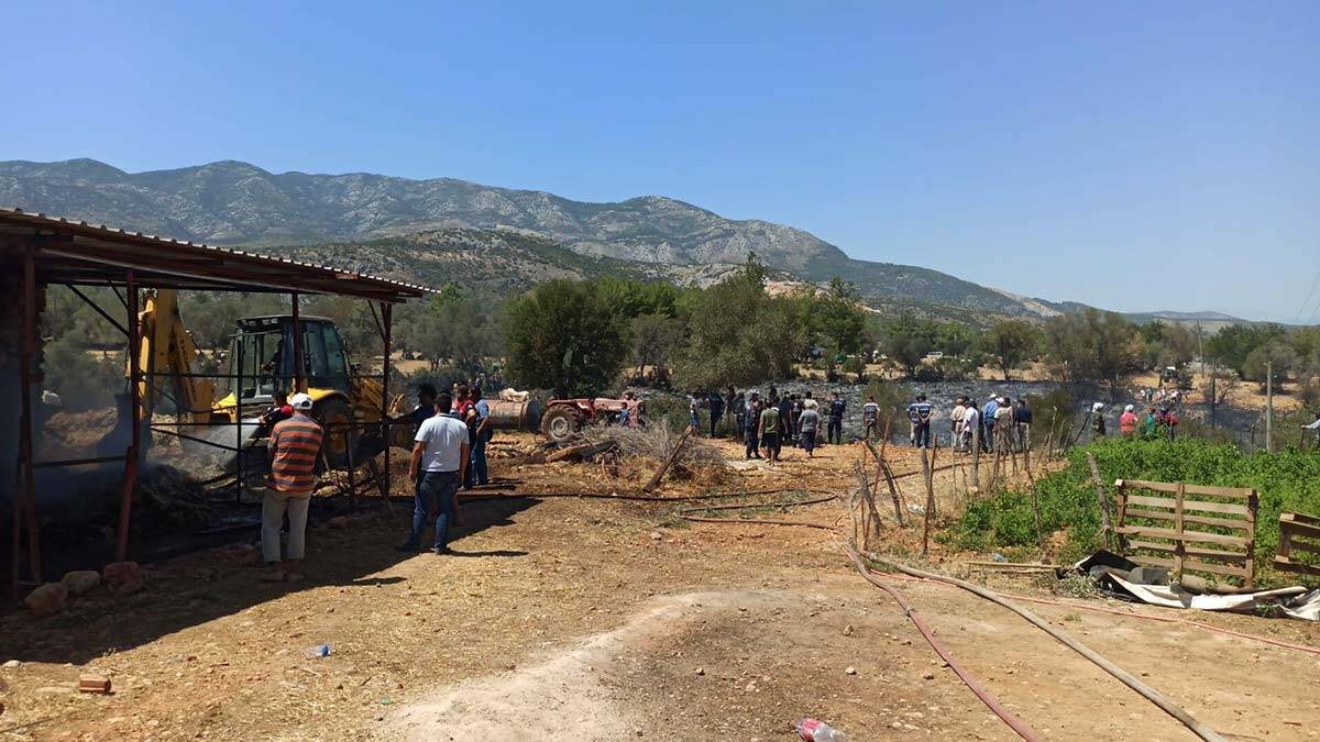 Makilik alanda çıkan yangın besi çiftliğine sıçradı