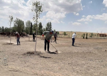Malazgirt Zaferi yıl dönümü hazırlıkları başladı