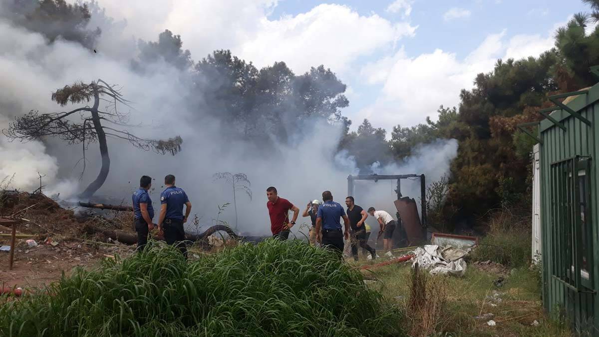 Maltepe'de yangın ormana sıçradı_