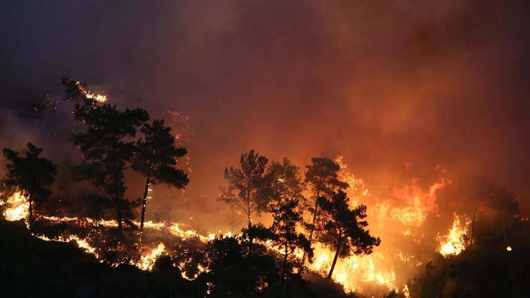 Manavgat orman yangınları 7'inci gününde