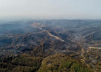 Manavgat ve Gündoğmuş yangınları kontrol altına alındı