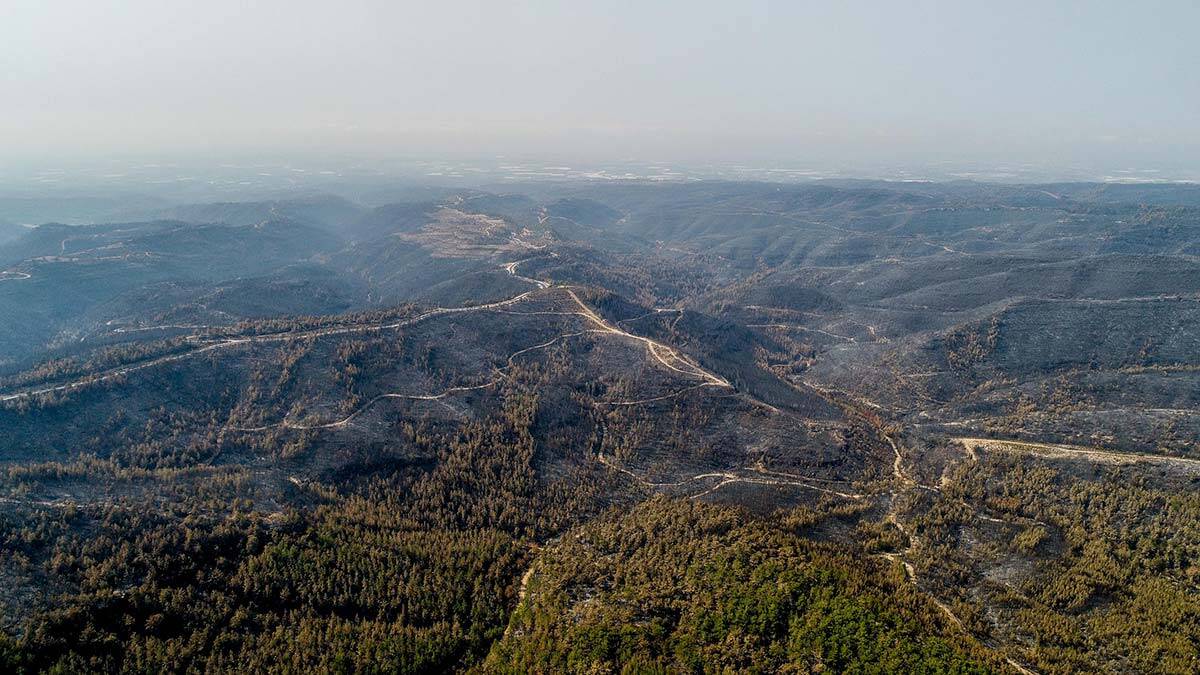 Manavgat ve Gündoğmuş yangınları kontrol altına alındı