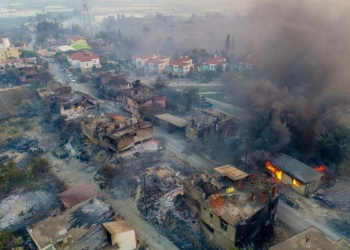 Manavgat yangını acı bilançosu_60 bin hektar yandı