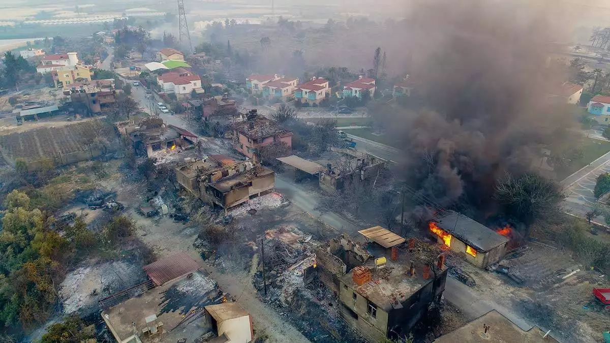 Manavgat yangını acı bilançosu_60 bin hektar yandı