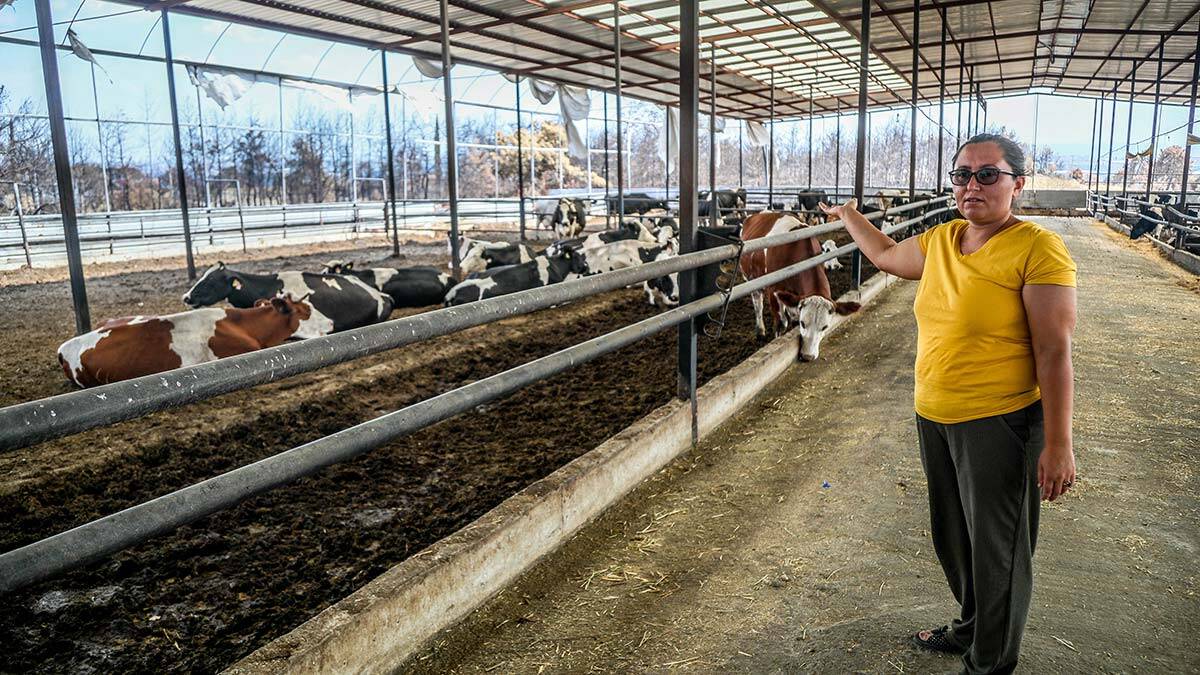 Manavgat'ta 5 dönümlük çiftlik küle döndü