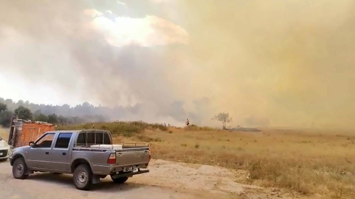 Manavgat'ta orman yangını çıktı