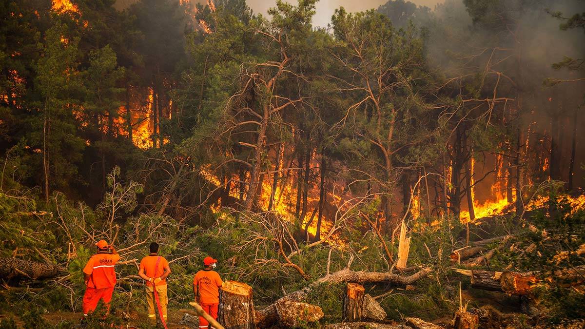 Manavgat'taki büyük yangında 8'inci gün