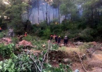 Marmaris yangını 8'inci gününde devam ediyor