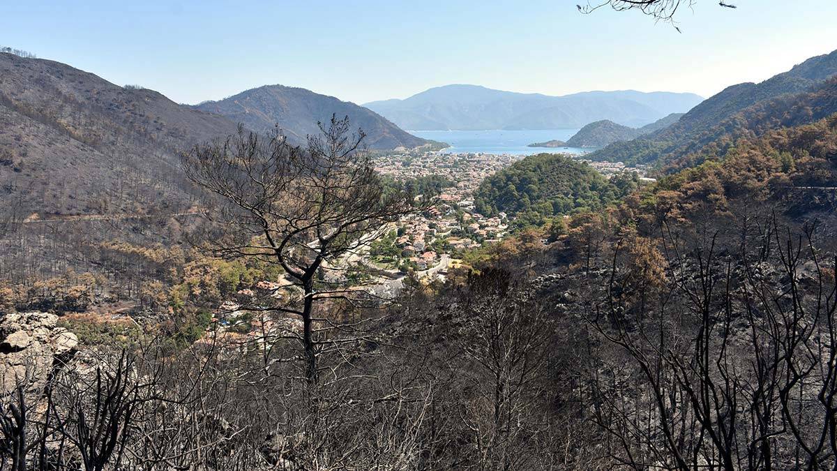 Marmaris yangınında 13 bin 650 hektar kül oldu