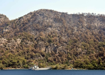 Marmaris'te yangın kontrol altında