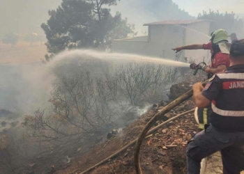 Marmaris'teki yangında 35 keçi kurtarıldı