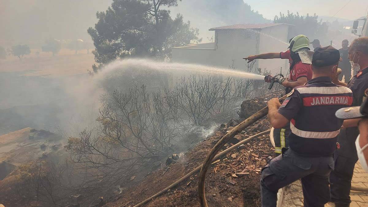 Marmaris'teki yangında 35 keçi kurtarıldı