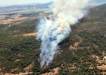 Menderes'te orman yangını çıktı
