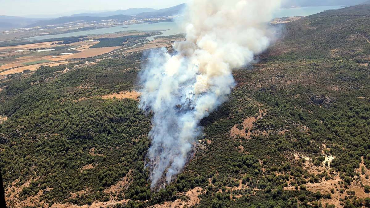 Menderes'te orman yangını çıktı