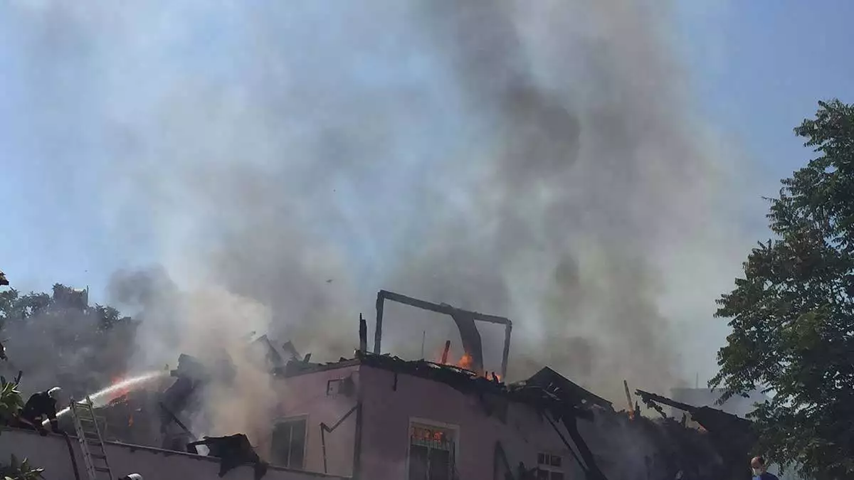 Mersin'de sit alanındaki 2 evde yangın