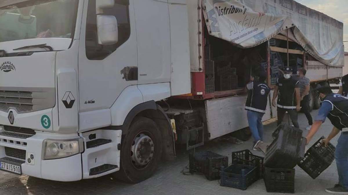 Meyve kasalarının arasında düzensiz göçmen yakalandı