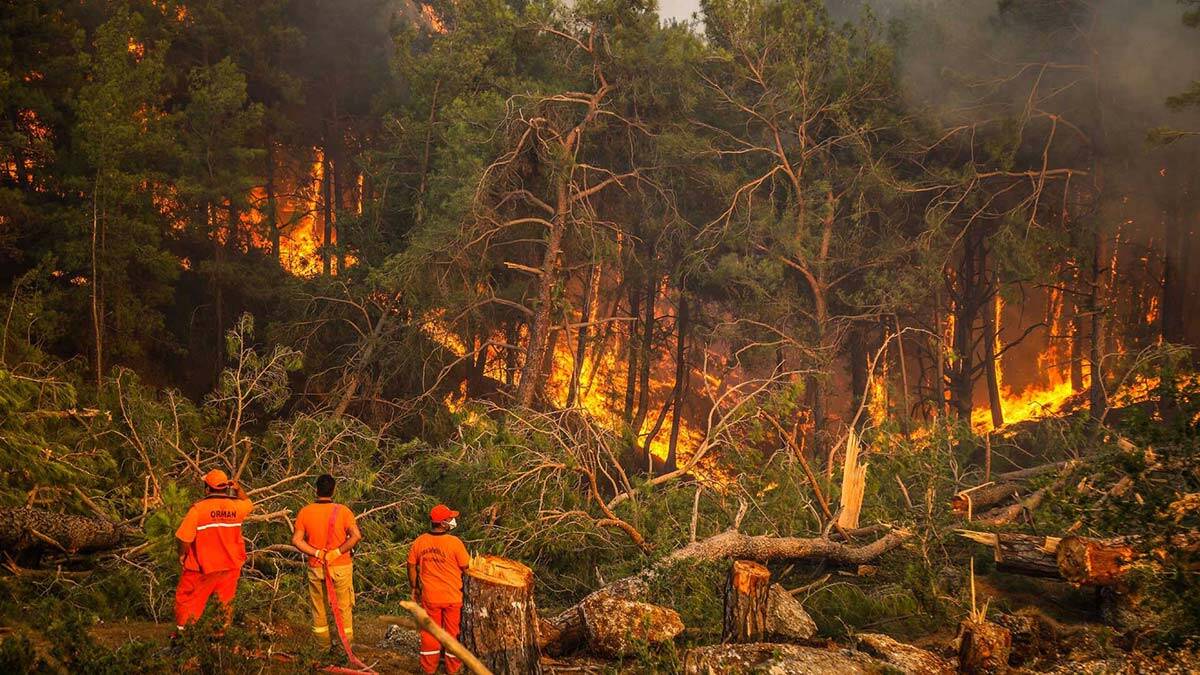 Milas ve Köyceğiz yangınları dışındaki yangınlar kontrol altında