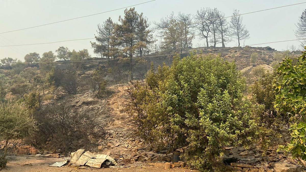 Milas yangınında 11'inci günde müdahale sürüyor