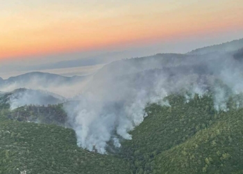 Milas'ta yangın 9'uncu günde devam ediyor