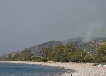 Milas'taki yangın 3'üncü gününde devam ediyor