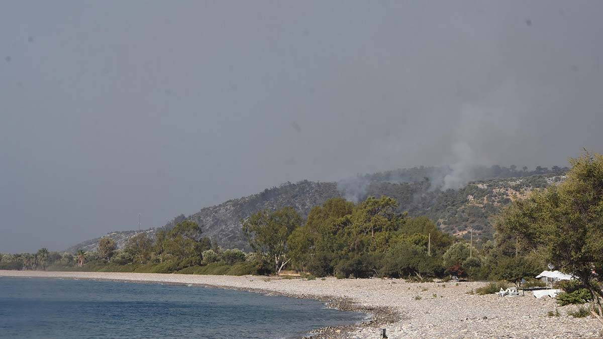 Milas'taki yangın 3'üncü gününde devam ediyor