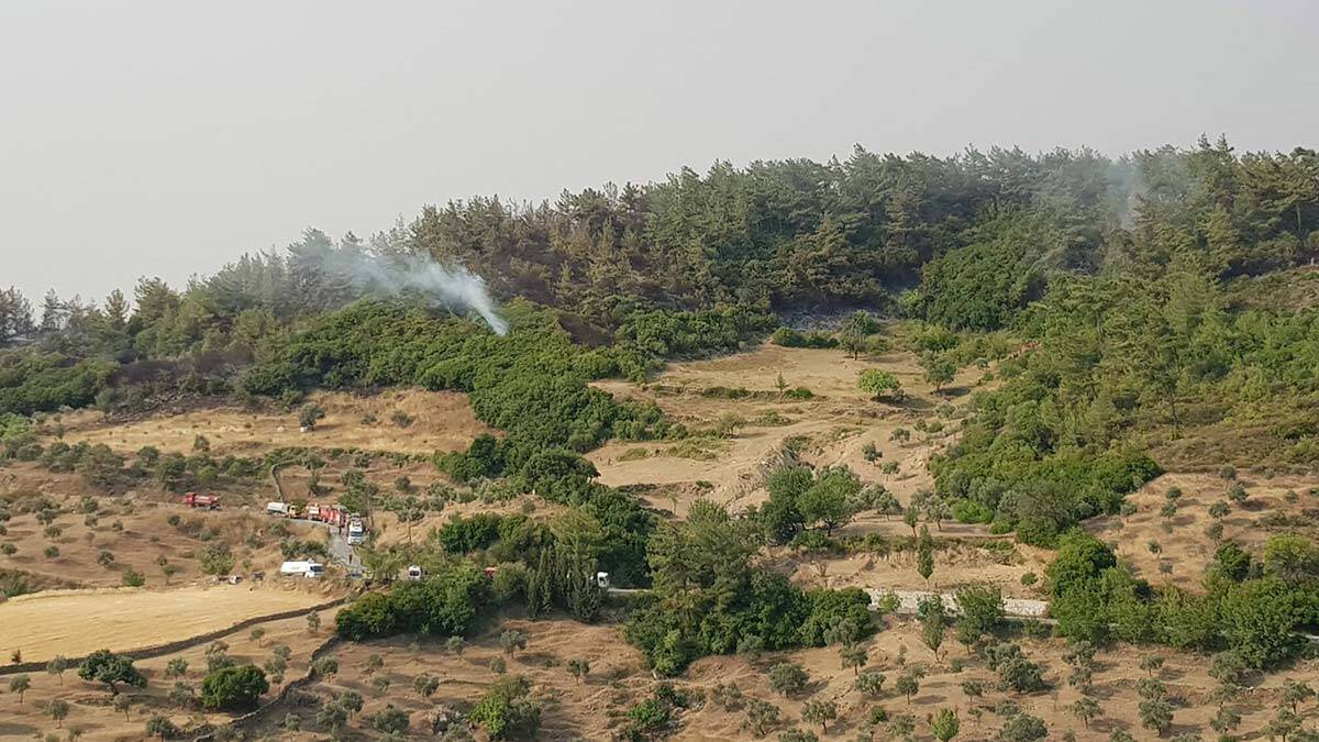 Milas'taki yangın 7'nci günde