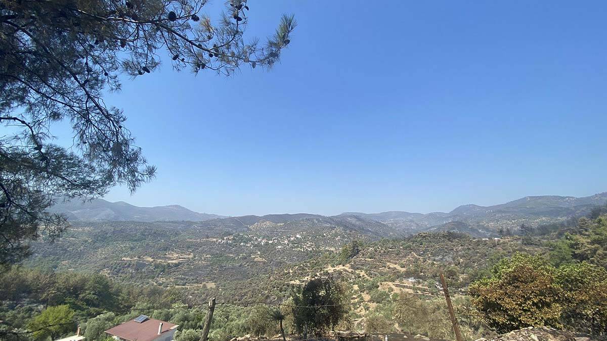 Milas'taki yangın 8'nci gününde