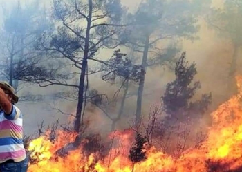 Muğla yangınlarında 38 bin 715 kişi tahliye edildi