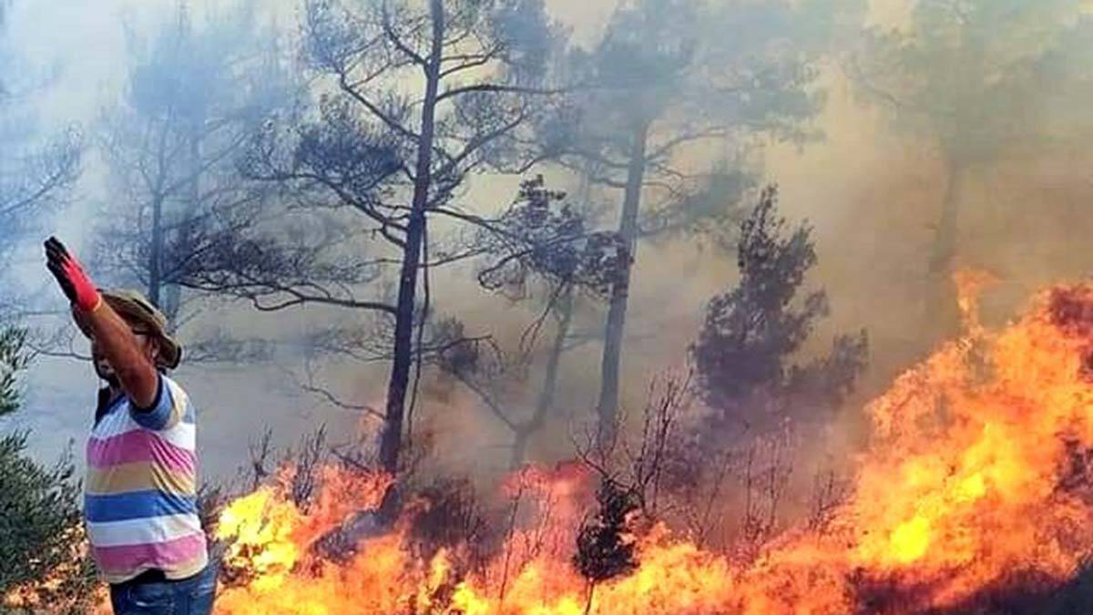 Muğla yangınlarında 38 bin 715 kişi tahliye edildi