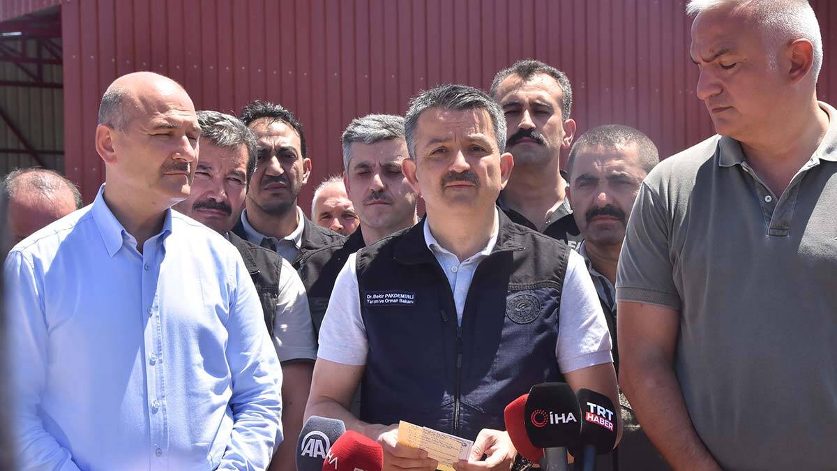 Muğla'da 3 bakandan orman yangınları açıklaması